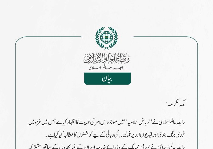 غزہ سے متعلق ریاض اعلامیہ کی حمایت