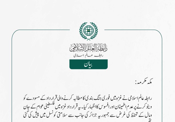 غزہ میں جنگ بندی کی قرارداد کو ویٹو کرنے پر افسوس کا اظہار