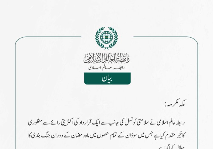 سوڈان سے متعلق سلامتی کونسل کی قرارداد کا خیر مقدم