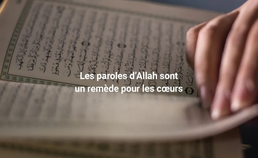 Les mots d’Allah sont les remèdes du coeur.