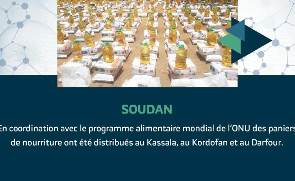 La  LIM a mené au  Soudan, en collaboration avec le ministère de la  Santé, une campagne de sensibilisation au  Covid19 et a distribué du matériel médical et de protection. Des paniers  alimentaires ont été distribués au  Darfour et au  Kassala en liaison avec l' ONU  WFP